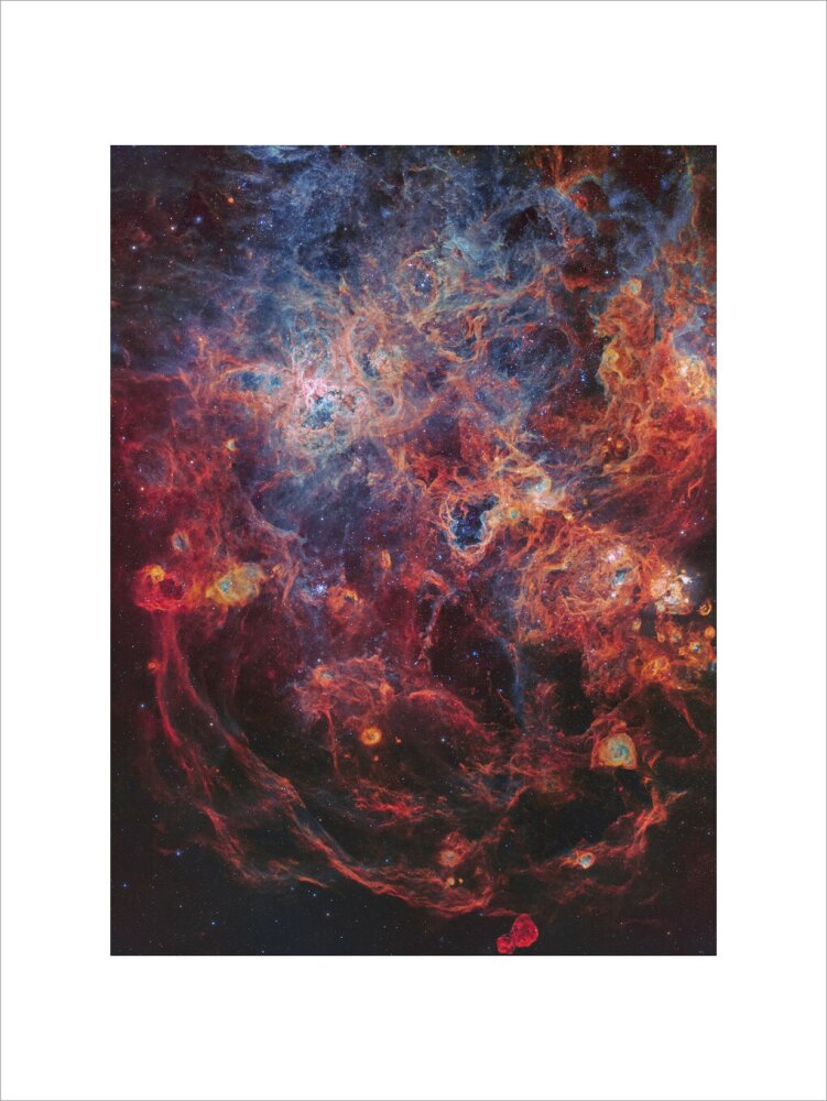 The Majestic Tarantula Nebula (Custom Print)