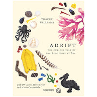 Adrift: The Curious Tale of the Lego Lost at Sea by Tracey Williams