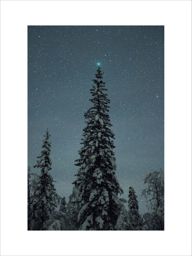 The Christmas Comet