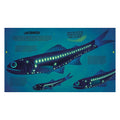 Illustration of a lanternfish with glowing organs on a blue underwater background.