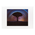 ZWO Astronomy Photographer of the Year 2025 'Dragon Tree Trails' A3 Print