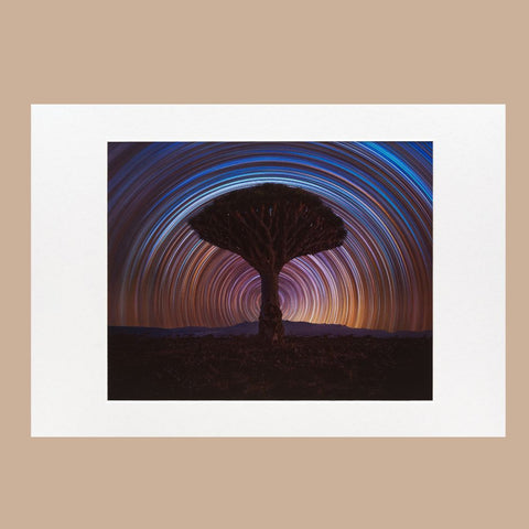 ZWO Astronomy Photographer of the Year 2025 'Dragon Tree Trails' A3 Print