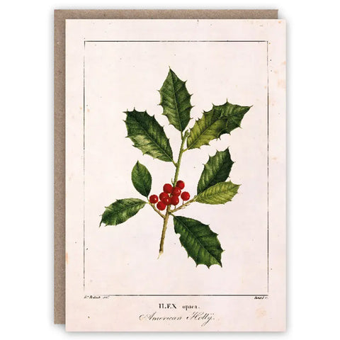 Holly Christmas Card