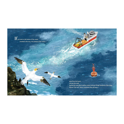Illustration of a boat and seagulls near a rocky shore with text overlay.