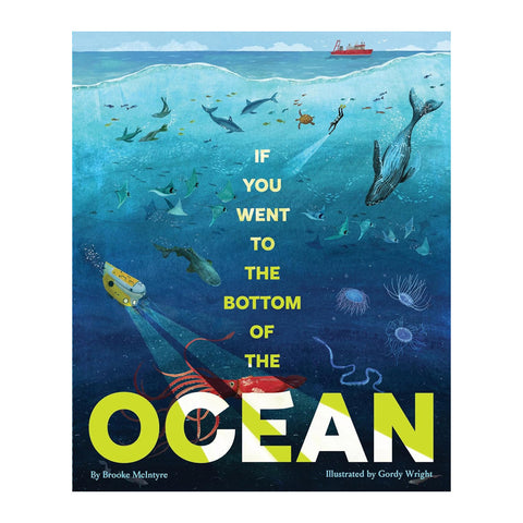 Book cover of 'If You Went to the Bottom of the Ocean' with underwater scene and text.