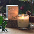 A candle in glass jar surrounded by holly, mistletoe and pine cones