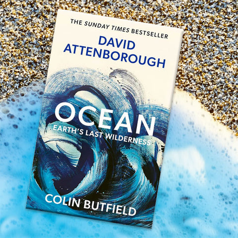 Book cover for 'Ocean: Earth's Last Wilderness' by David Attenborough and Colin Butfield, shown at an angle over blue water with pebbled sand in the background.