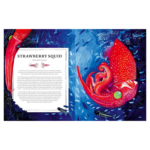 Oceanopedia