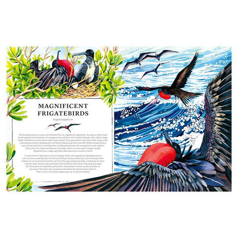 Oceanopedia