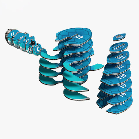 Toy turtle build kit pieces
