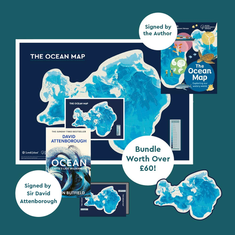 Flat lay of bespoke Spilhaus Projection National Maritime Museum products. Including A3 poster, overlaid with a post card and a print. The Ocean Map publication, signed by the author and Ocean Earths Last Wilderness signed by Sir David Attenborough are also overlaid. All the products sit on a deep blue backdrop. 