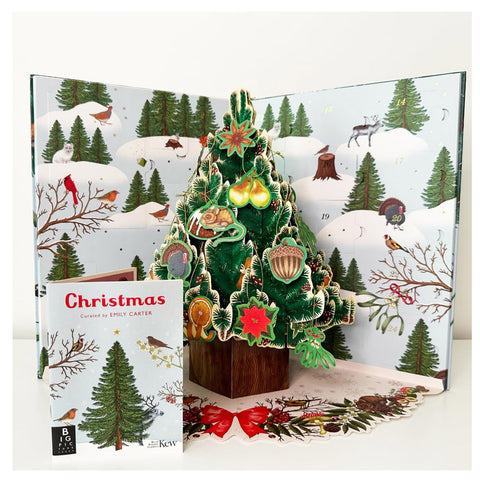 A Christmas Pop-Up Advent Calendar