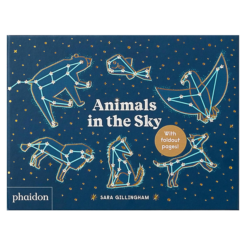 Animals in the Sky by Sara Gillingham