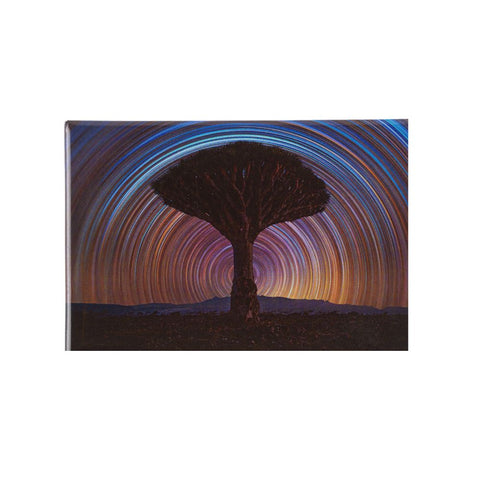 'Dragon Tree Trails' Magnet
