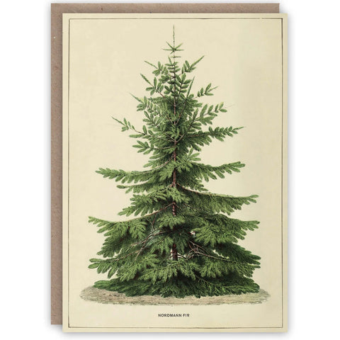 greeting card with an illustration of a Normann Fir tree