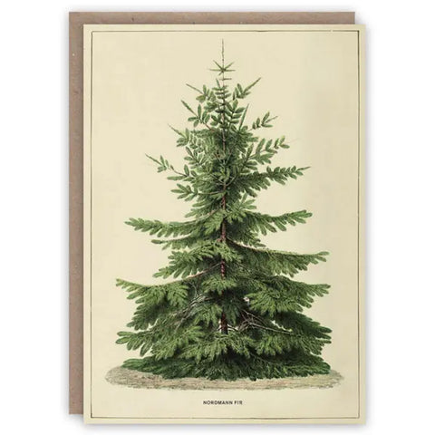 Nordmann Fir Tree Christmas Card