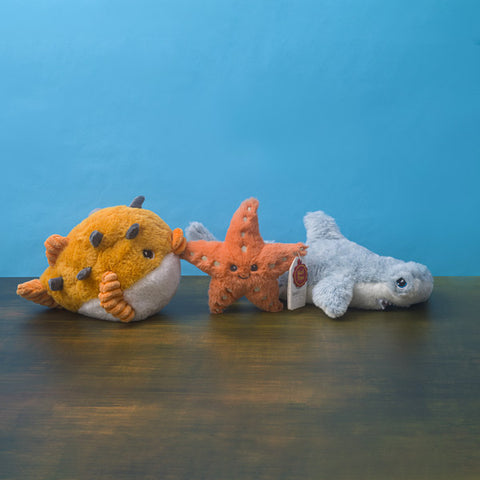 Three plush toys resembling a puffer fish, starfish, and shark on a wooden surface with a blue background.
