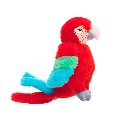 Red, green, blue and white plush parrot.