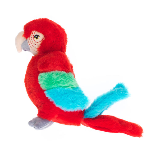 Red, green, blue and white plush parrot.