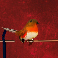 Robin Decoration