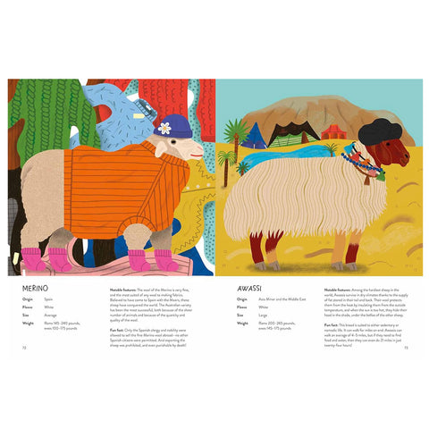 Illustrated pages from Sheepology.