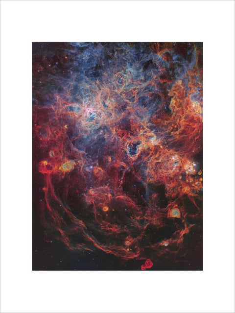 The Majestic Tarantula Nebula (Custom Print)