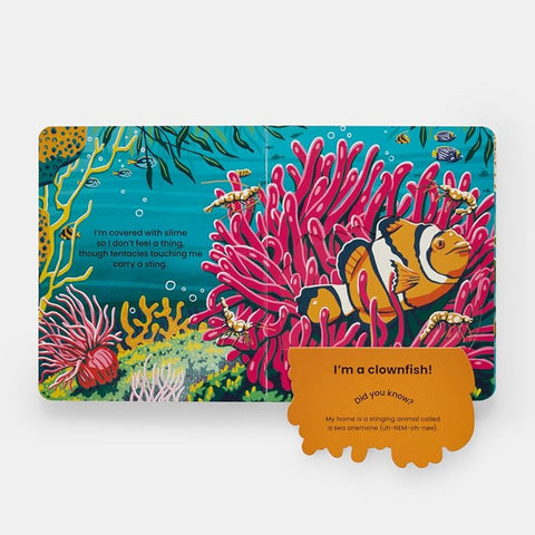 Children's book cover with a clownfish and coral illustration 
