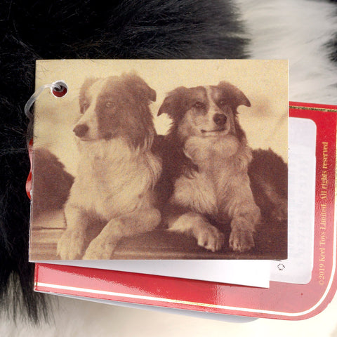 Close up of a sepia photo of two collie dogs on the label.