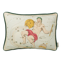 Aquarius cushion