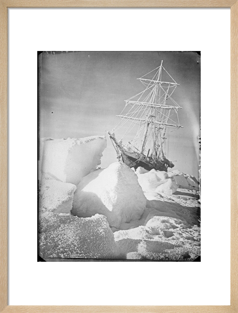 Endurance Frozen in and Forced out of the Ice – Royal Museums