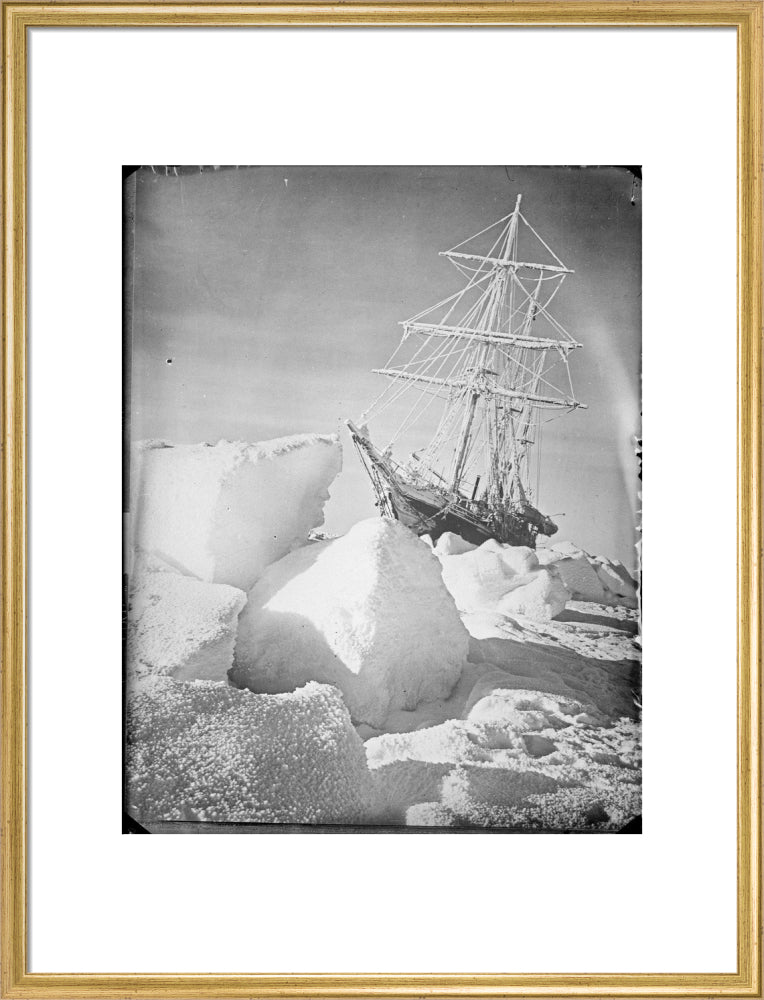 Endurance Frozen in and Forced out of the Ice – Royal Museums